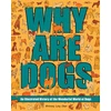 KNYGA Brittany Long Olsen Why Are Dogs