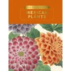 KNYGA Bryony Langley Kew Pocketbooks: Mexican Plants