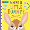 KNYGA Campbell Books Where is Little Bunny?