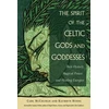 KNYGA Carl Mccolman Spirit of the Celtic Gods and Goddesses
