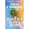 KNYGA Caroline Odonoghue Scenes of a Graphic Nature, 'A perfect page-turner . . . I loved it' - Dolly Alderton