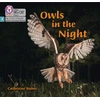 KNYGA Catherine Baker Owls in the Night