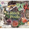 KNYGA Catherine Baker Rock Pools