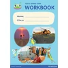 KNYGA Catherine Casey Bug Club Pro Guided Y6 Term 2 Pupil Workbook