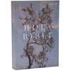 KNYGA Catholic Bible Press NRSV Catholic Edition Bible, Eucalyptus Paperback (Global Cover Series): Holy Bible