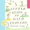 KNYGA Charlotte Voake Little Guide To Wild Flowers