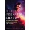 KNYGA Cherionna Menzam Sills Prenatal Shadow, the Traumas Experienced before and at Birth