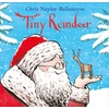 KNYGA Chris Naylor Ballesteros Tiny Reindeer, A heartwarming Christmas story