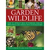 KNYGA Christine Lavelle Garden Wildlife
