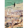KNYGA Claire Keegan Small Things Like These