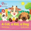 KNYGA Collins Big Cat Cat, a Kid and a Dog, Phase 2 Set 3 Blending Practice