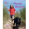 KNYGA Collins Big Cat Mood Boost, Phase 4 Set 2 Stretch and Challenge