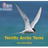 KNYGA Collins Big Cat Terrific Arctic Terns