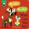 KNYGA Costello Dee Reindeer! Reindeer! What Can You See?