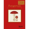 KNYGA D L Hawksworth Fungarium (Mini Gift Edition)