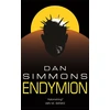 KNYGA Dan Simmons Endimionas