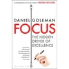 KNYGA Daniel Goleman Focus, The Hidden Driver of Excellence