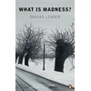 KNYGA Darian Leader What is Madness?