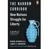 KNYGA Daron Acemoglu Narrow Corridor, How Nations Struggle for Liberty