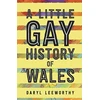 KNYGA Daryl Leeworthy Little Gay History of Wales