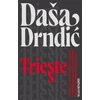 KNYGA Dasa Drndic Trieste