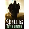 KNYGA David Almond Skellig
