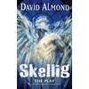 KNYGA David Almond Skellig The Play