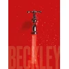 KNYGA David Carrier Bill Beckley and Narrative Art, The Word-Image Riddle and the Aesthetics of Beauty
