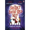 KNYGA David Farr Book of Stolen Dreams: The Secret Key