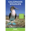 KNYGA David Horwell Galapagos Wildlife