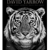 KNYGA David Yarrow Photography, Americas Africa Antarctica Arctic Asia Europe