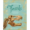 KNYGA Dean Lomax Anthology of Fossils, A Collection of Plant and Animal Fossils From Around the World