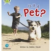 KNYGA Deborah Vilardi Bug Club Phonics - Phase 2 Unit 4: Is It a Pet?
