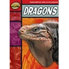KNYGA Diana Bentley Rapid Reading: Dragons (Stage 2, Level 2B)