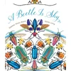 KNYGA Dianna Hutts Aston Beetle Is Shy