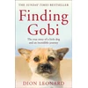 KNYGA Dion Leonard Finding Gobi (Main edition), The True Story of a Little Dog and an Incredible Journey