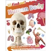KNYGA Dk Publishing DKfindout! Human Body