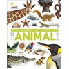 KNYGA Dk Publishing Our World in Pictures The Animal Book