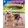 KNYGA Dona Rice Helping Injured Animals