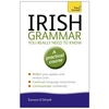 KNYGA Eammon O Donaill Irish Grammar You Really Need to Know: Teach Yourself
