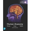 KNYGA Elaine Nicpon Marieb Human Anatomy, Global Edition