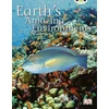KNYGA Elizabeth Corfe Bug Club Independent Non-Fiction Year Two Baltas A - Earth's Amazing Environments