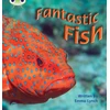 KNYGA Emma Lynch Bug Club Phonics - Phase 4 Unit 12: Fantastic Fish
