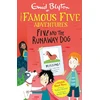 KNYGA Enid Blyton Famous Five Colour Short Stories: Five and the Runaway Dog