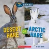 KNYGA Eric Geron Desert Hare or Arctic Hare (Wild World: Hot and Cold Animals)