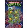 KNYGA Erik Burnham Teenage Mutant Ninja Turtles: Saturday Morning Adventures, Vol. 1