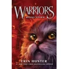 KNYGA Erin Hunter Rising Storm