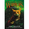KNYGA Erin Hunter Warriors: Dawn of the Clans #4: The Blazing Star