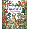 KNYGA Federica Iossa Woodland Magic Painting Book