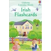 KNYGA Felicity Brooks Everyday Words in Irish Flashcards